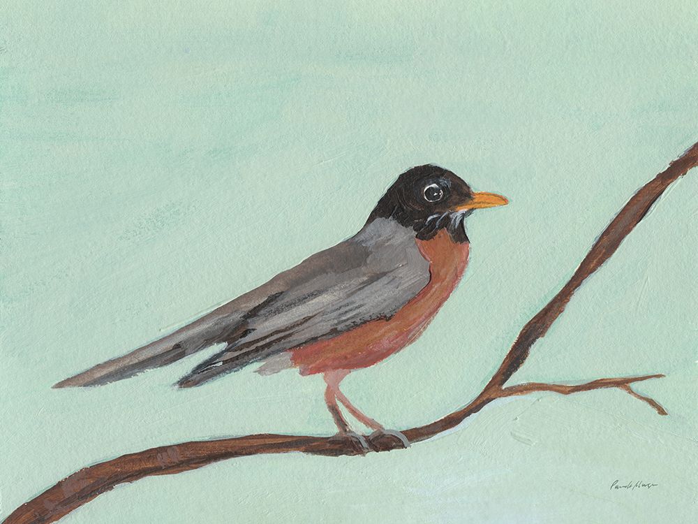 Robin art print by Pamela Munger for $57.95 CAD