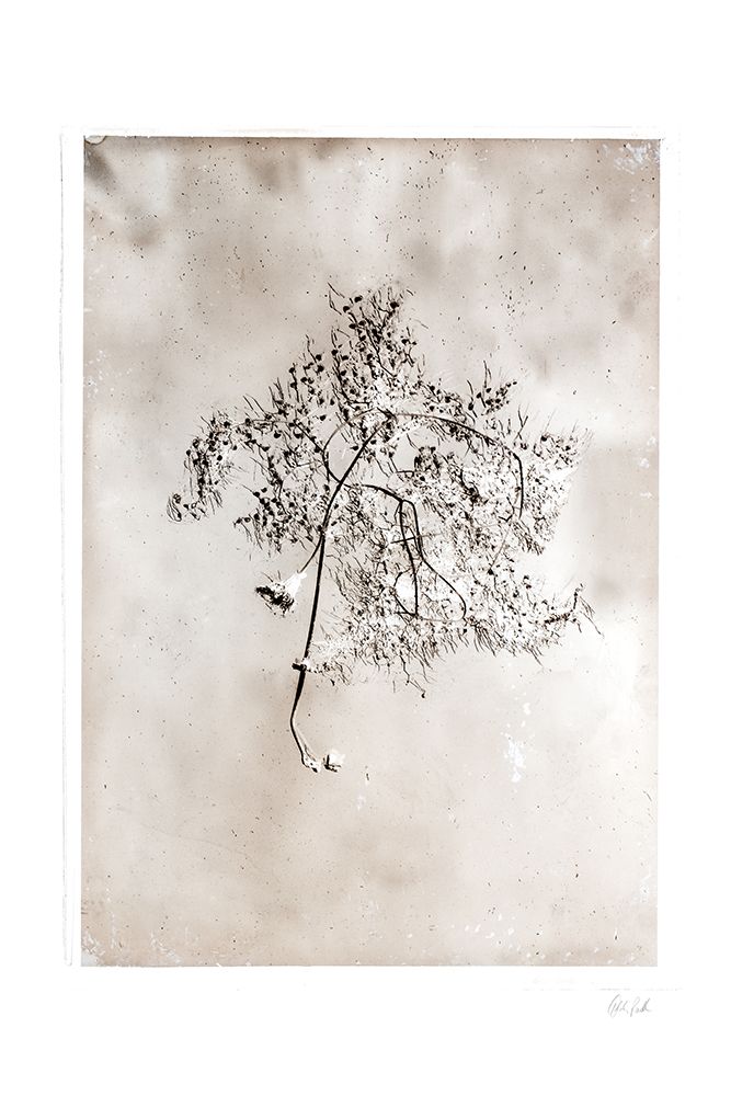 Glass Plate V art print by Deborah Revell for $57.95 CAD