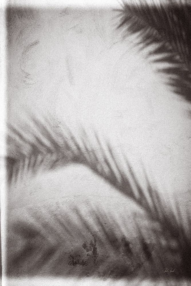 Palm Shadow Afternoon I art print by Deborah Revell for $57.95 CAD