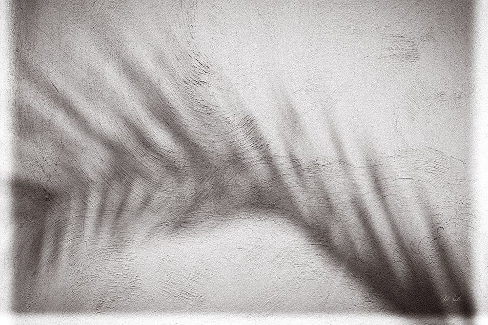 Palm Shadow Afternoon II art print by Deborah Revell for $57.95 CAD
