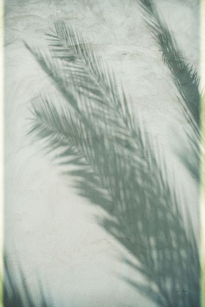 Palm Shadow I art print by Deborah Revell for $57.95 CAD