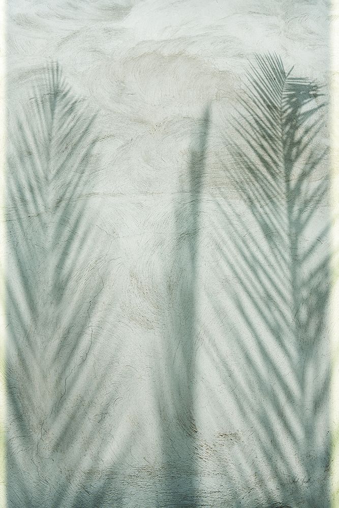 Palm Shadow II art print by Deborah Revell for $57.95 CAD