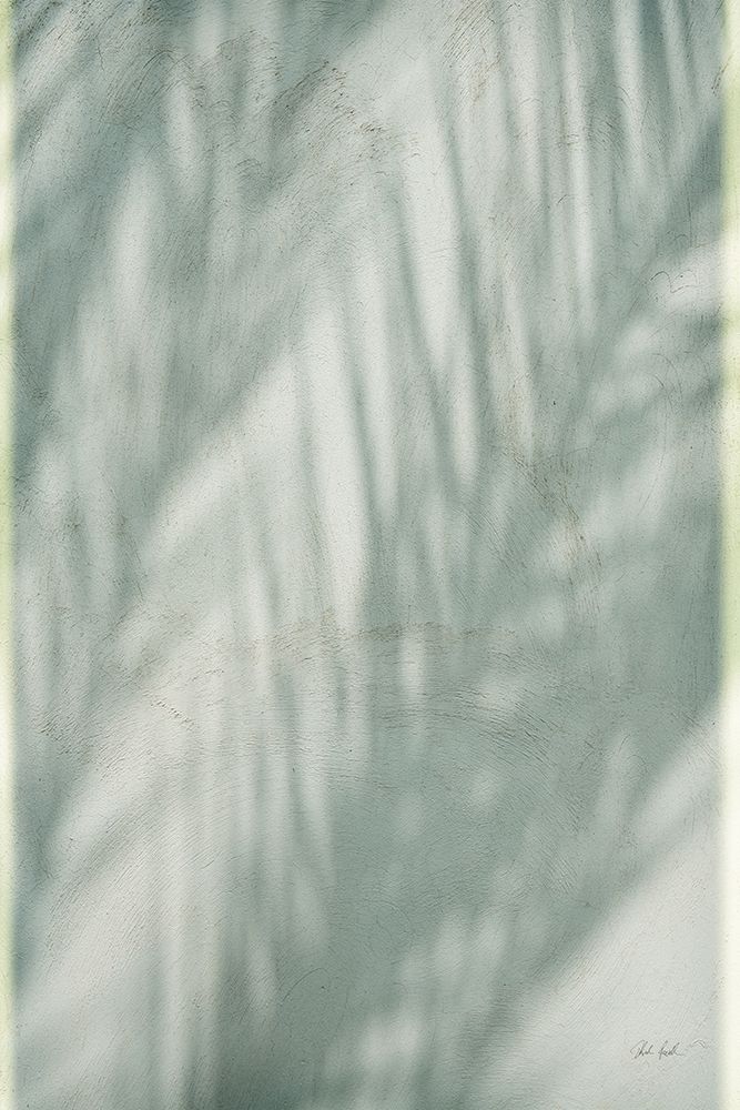 Palm Shadow III art print by Deborah Revell for $57.95 CAD