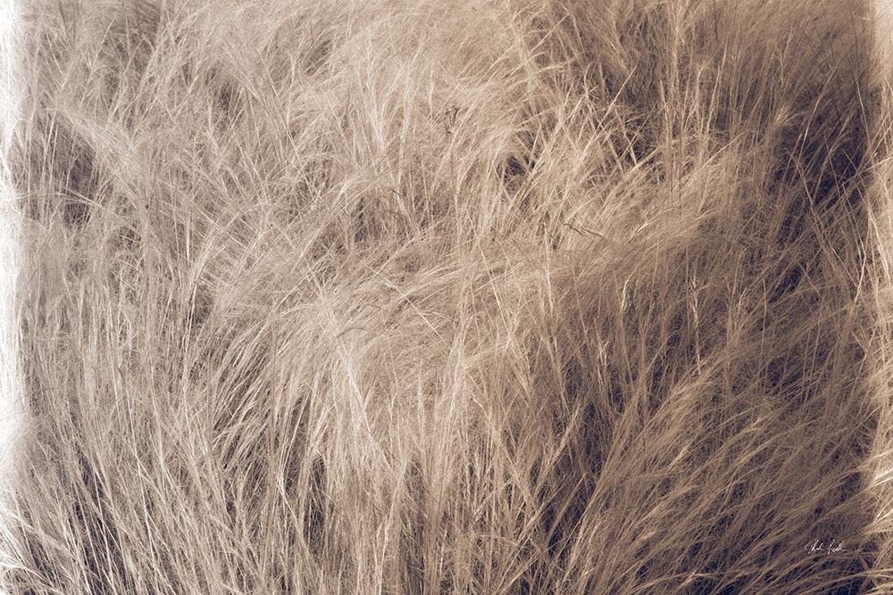 Soft Grasses I art print by Deborah Revell for $57.95 CAD