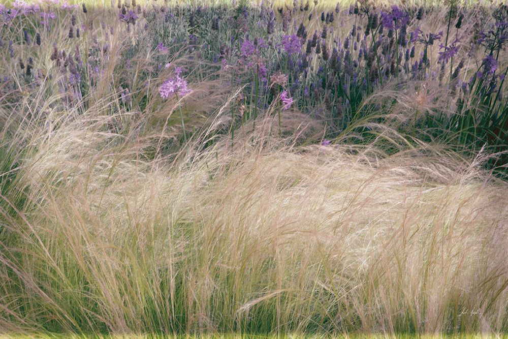 Secret Garden I art print by Deborah Revell for $57.95 CAD