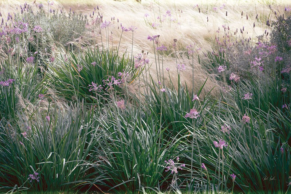 Secret Garden III art print by Deborah Revell for $57.95 CAD