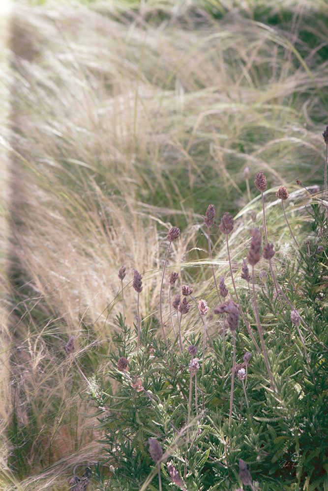 Secret Garden IV art print by Deborah Revell for $57.95 CAD