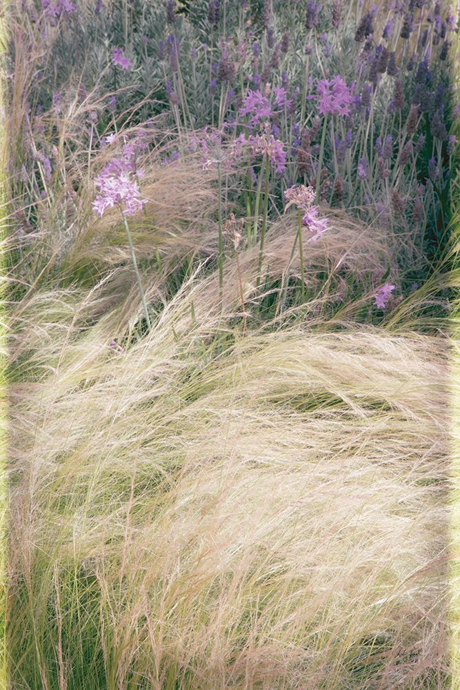 Secret Garden V art print by Deborah Revell for $57.95 CAD
