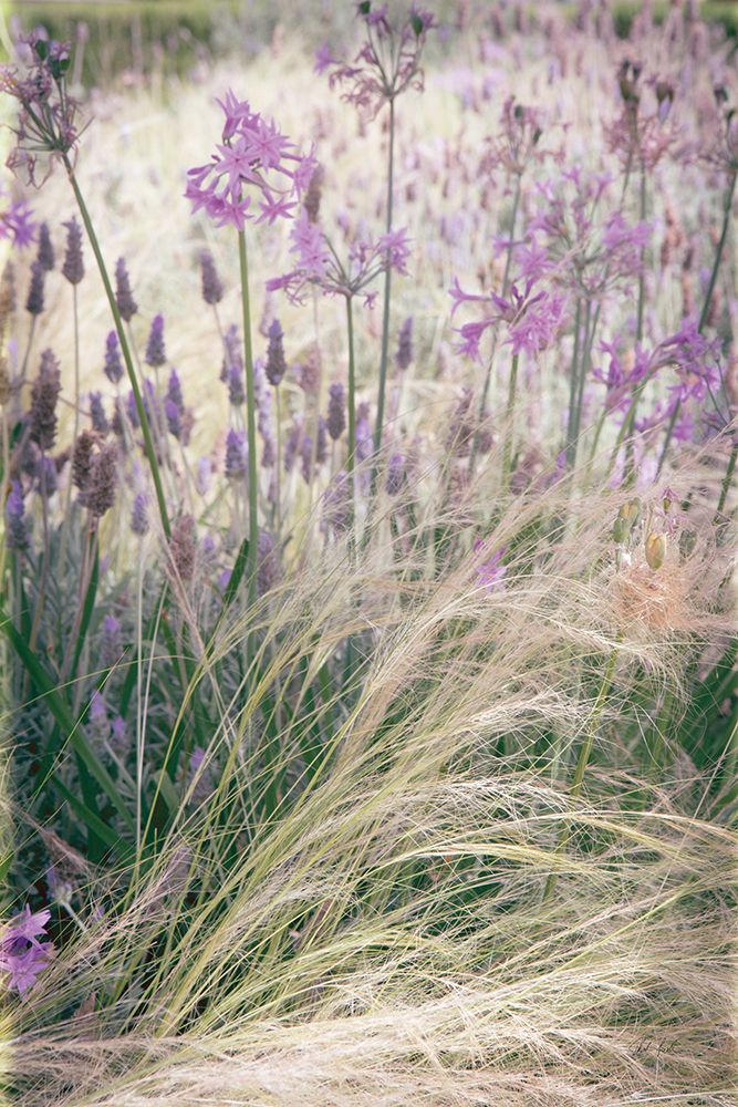 Secret Garden VIII art print by Deborah Revell for $57.95 CAD