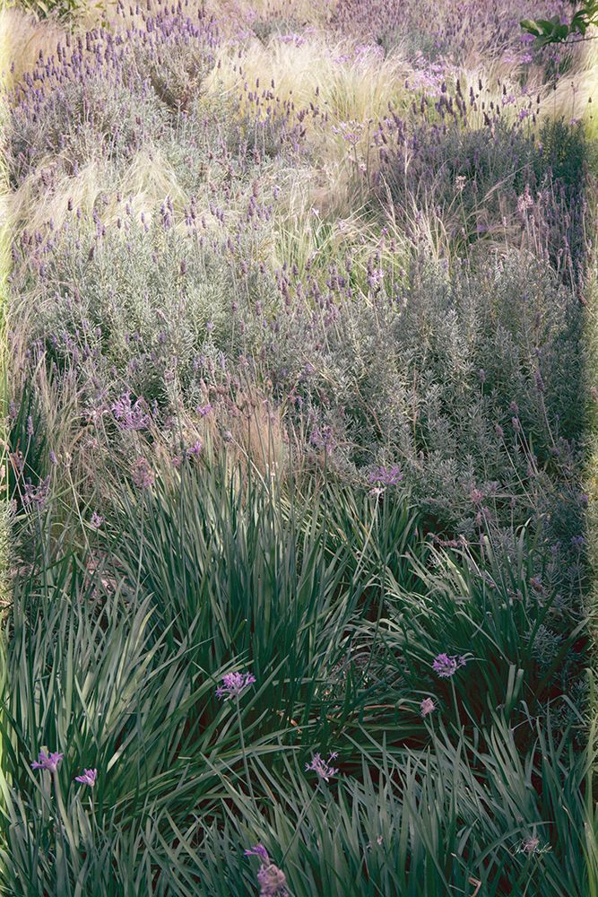 Secret Garden IX art print by Deborah Revell for $57.95 CAD