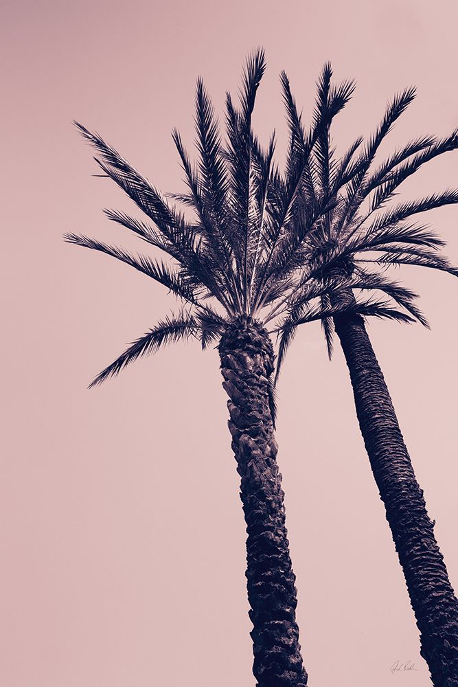 Pink Palms I art print by Deborah Revell for $57.95 CAD