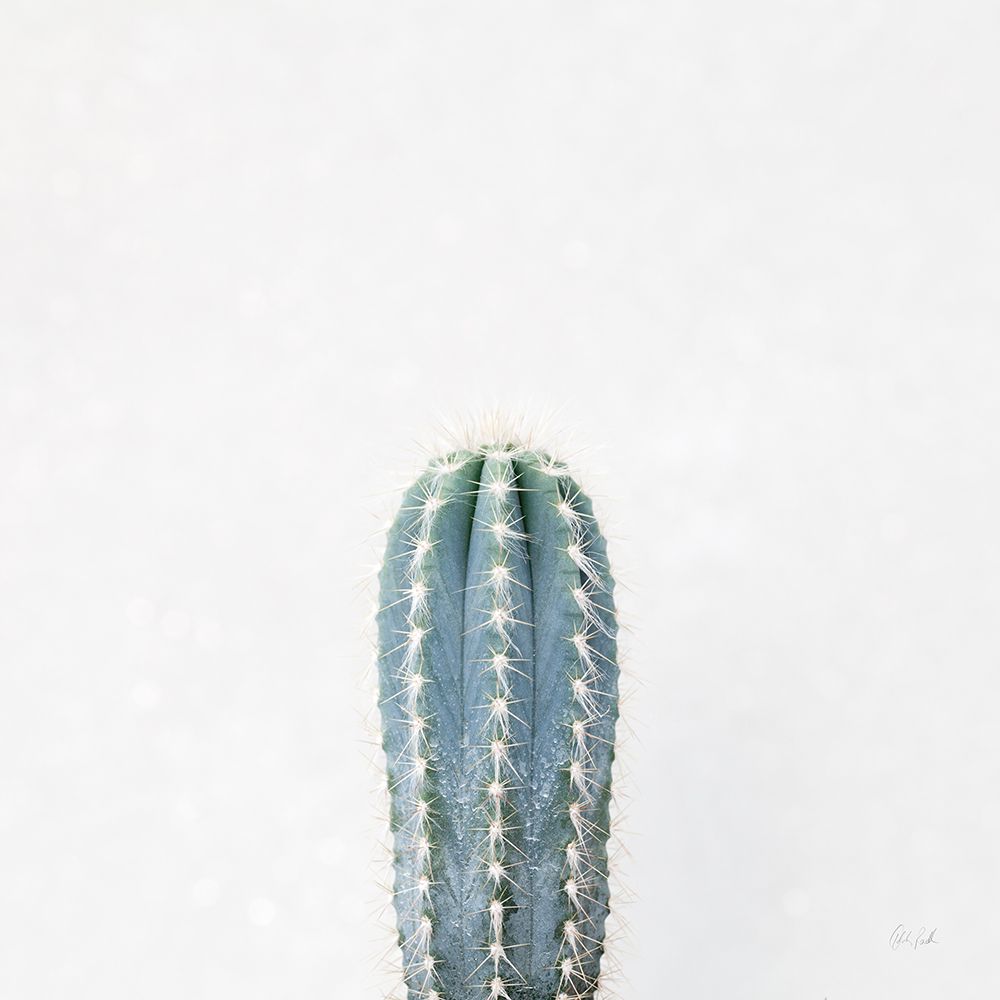 Desert Treasures III art print by Deborah Revell for $57.95 CAD