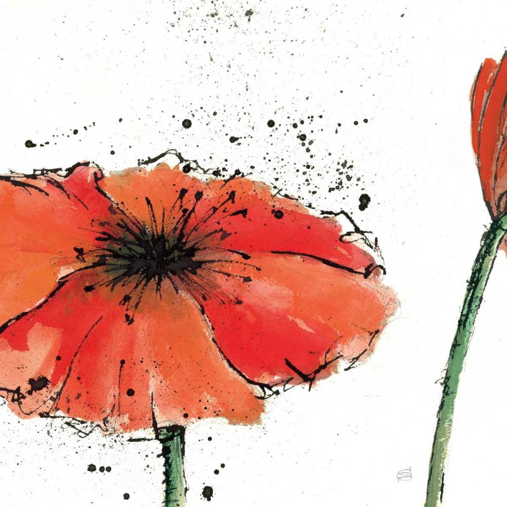 Not a California Poppy III on White art print by Chris Paschke for $57.95 CAD