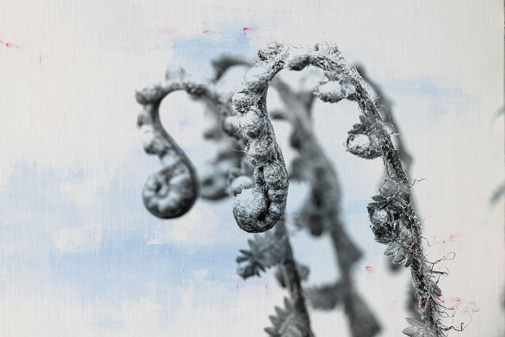Fiddle Fern I art print by Deborah Revell for $57.95 CAD