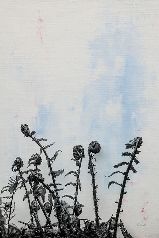 Fiddle Fern VII art print by Deborah Revell for $57.95 CAD