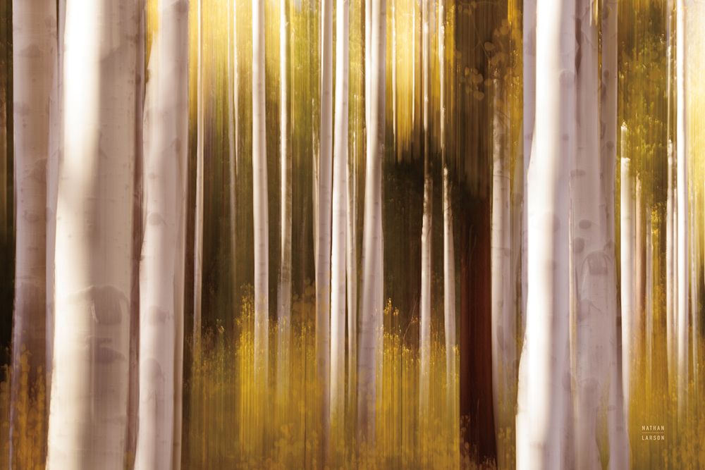 Aspen Dreams art print by Nathan Larson for $57.95 CAD