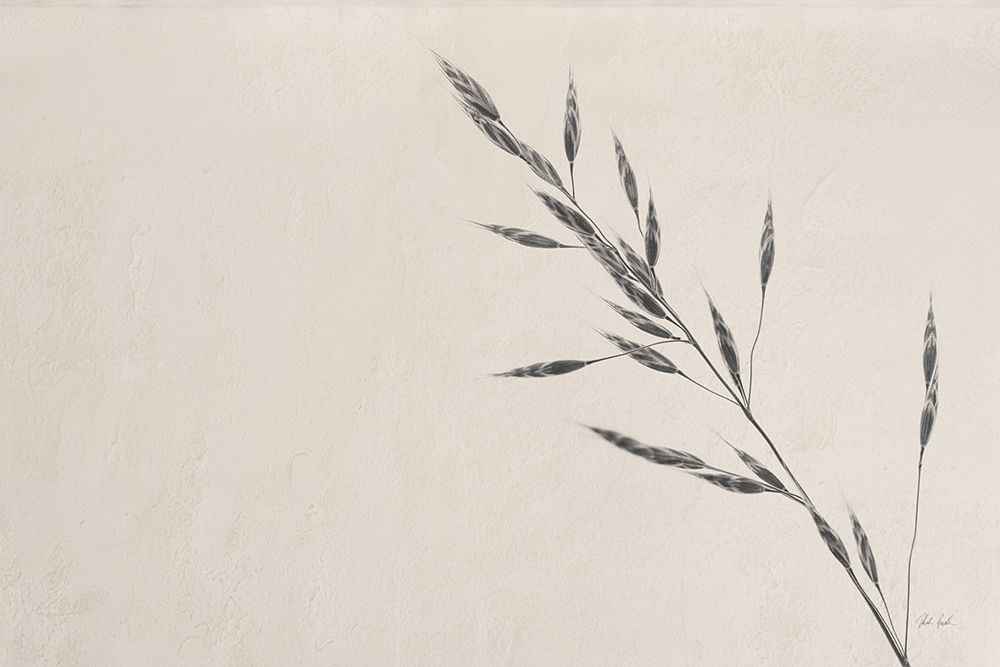 Wheat Grass III art print by Deborah Revell for $57.95 CAD