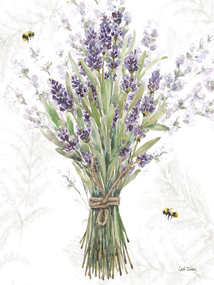 Fresh Lavender II art print by Leslie Trimbach for $57.95 CAD