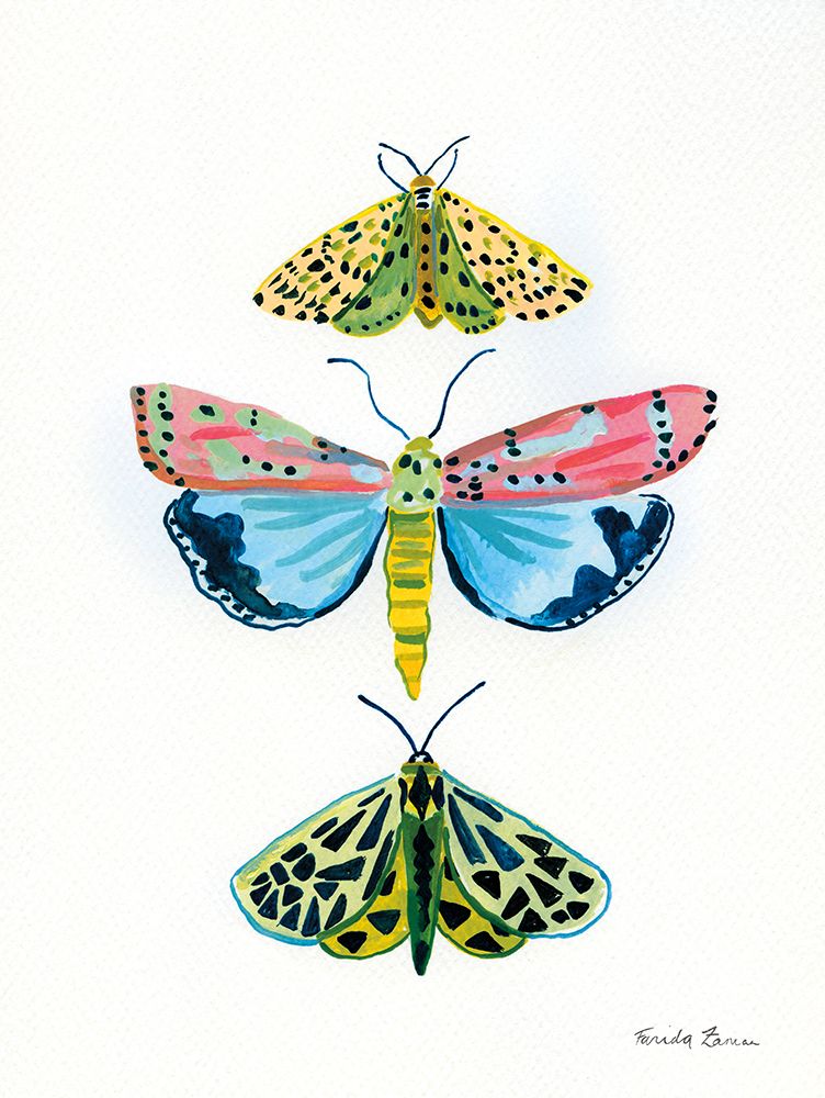 Bright Moths I art print by Farida Zaman for $57.95 CAD