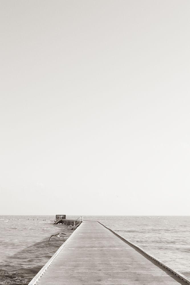 Pier V Sepia art print by Deborah Revell for $57.95 CAD