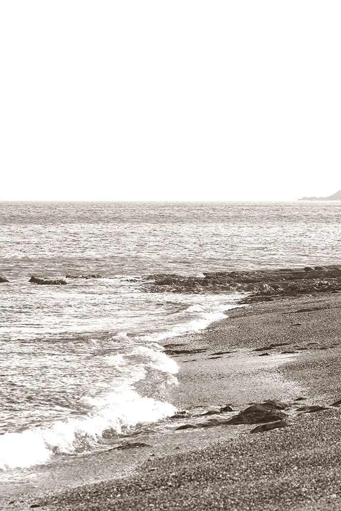 Rain on the Secret Beach Sepia art print by Deborah Revell for $57.95 CAD