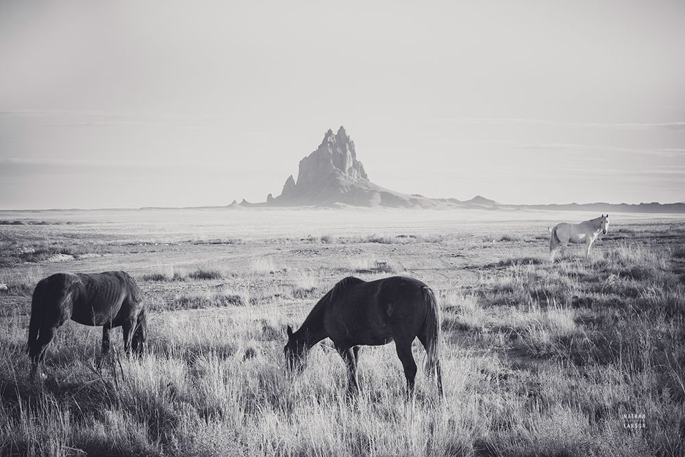 Western Range art print by Nathan Larson for $57.95 CAD