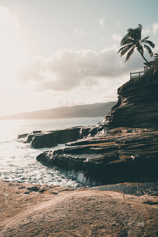 Happy in Hawaii art print by Max Blakesberg Studios for $57.95 CAD
