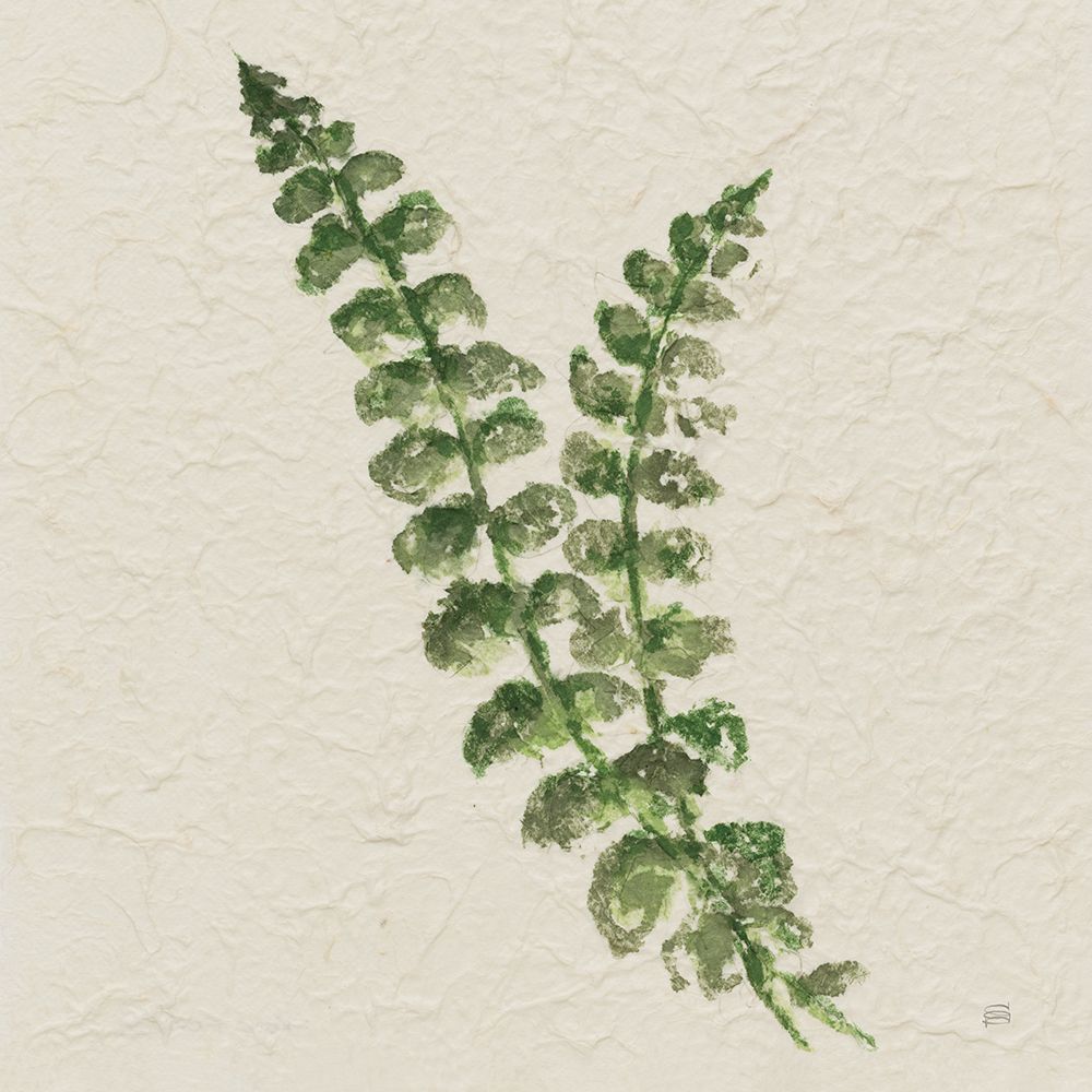 Kozo Fern III art print by Chris Paschke for $57.95 CAD