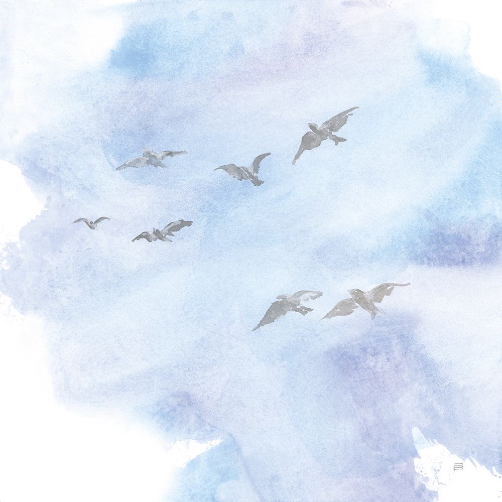 In Flight I art print by Chris Paschke for $57.95 CAD