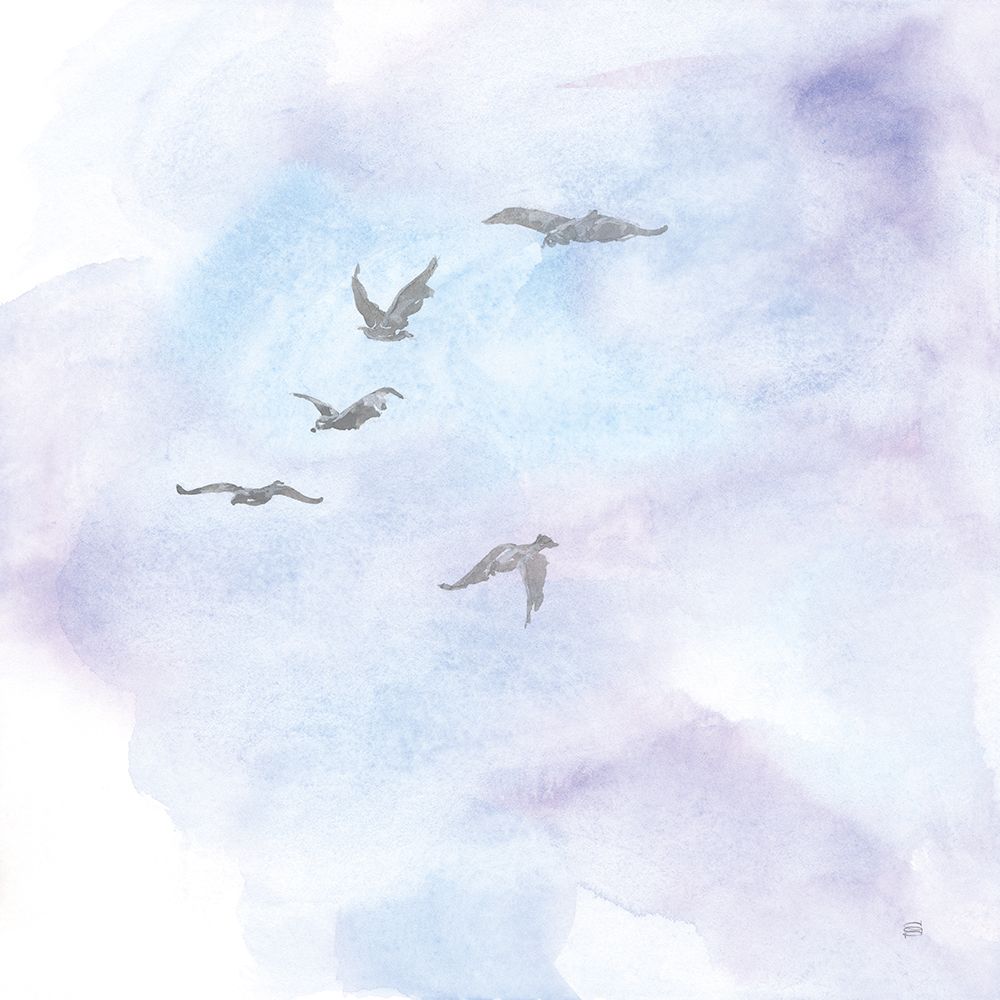 In Flight IV art print by Chris Paschke for $57.95 CAD