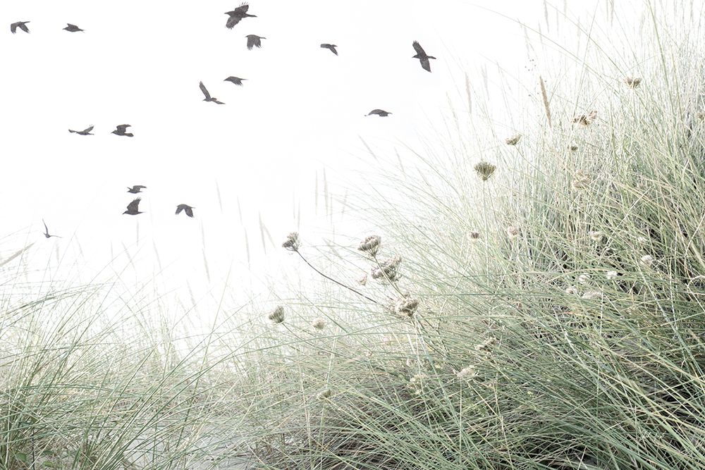 Birds Flying South art print by Deborah Revell for $57.95 CAD