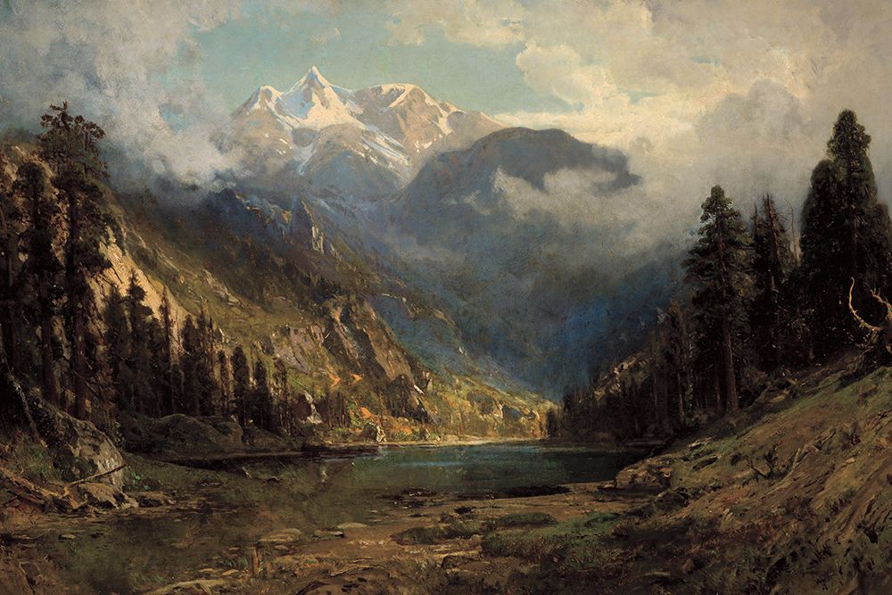 California Pines art print by Public Domain for $57.95 CAD