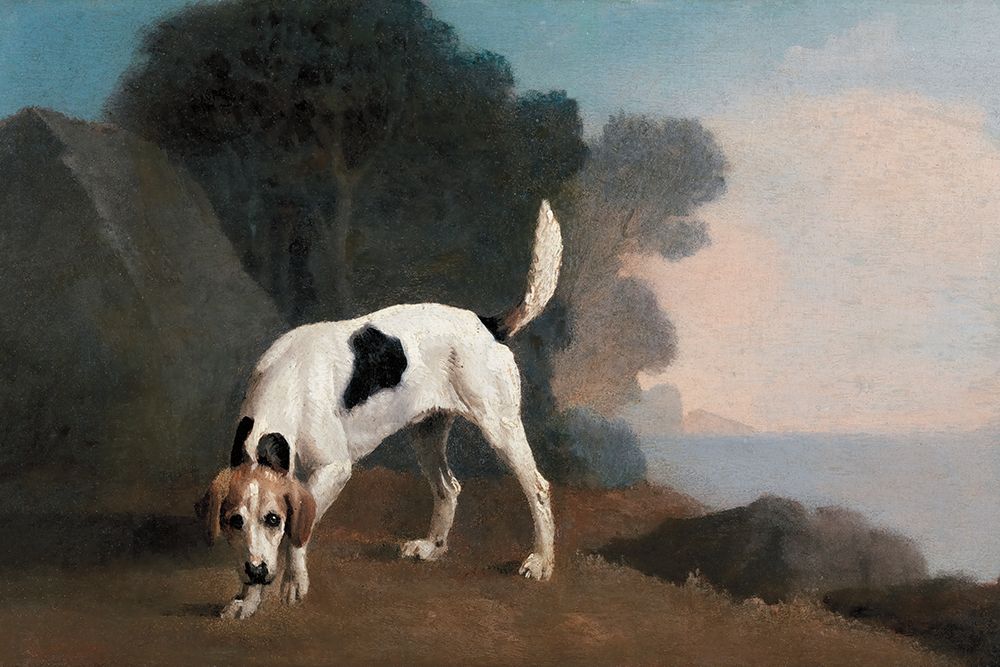 Foxhound art print by Public Domain for $57.95 CAD