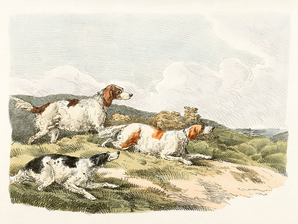 Illustration of of Running Hounds art print by Public Domain for $57.95 CAD