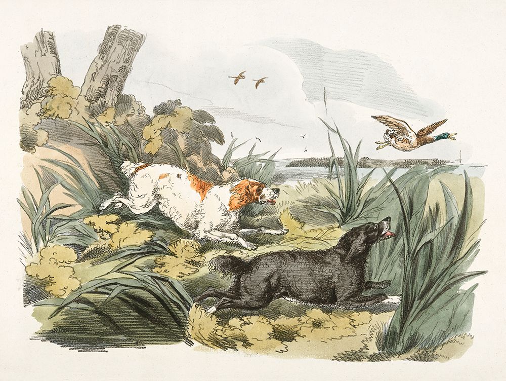 Illustration of Hounds on the Hunt art print by Public Domain for $57.95 CAD