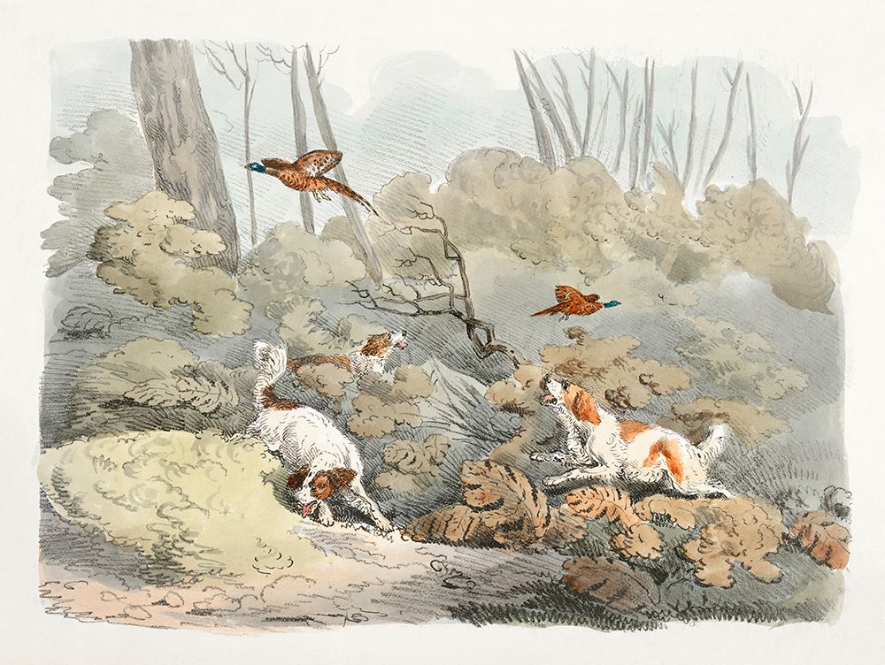 Illustration of Dogs Chasing Pheasants art print by Public Domain for $57.95 CAD