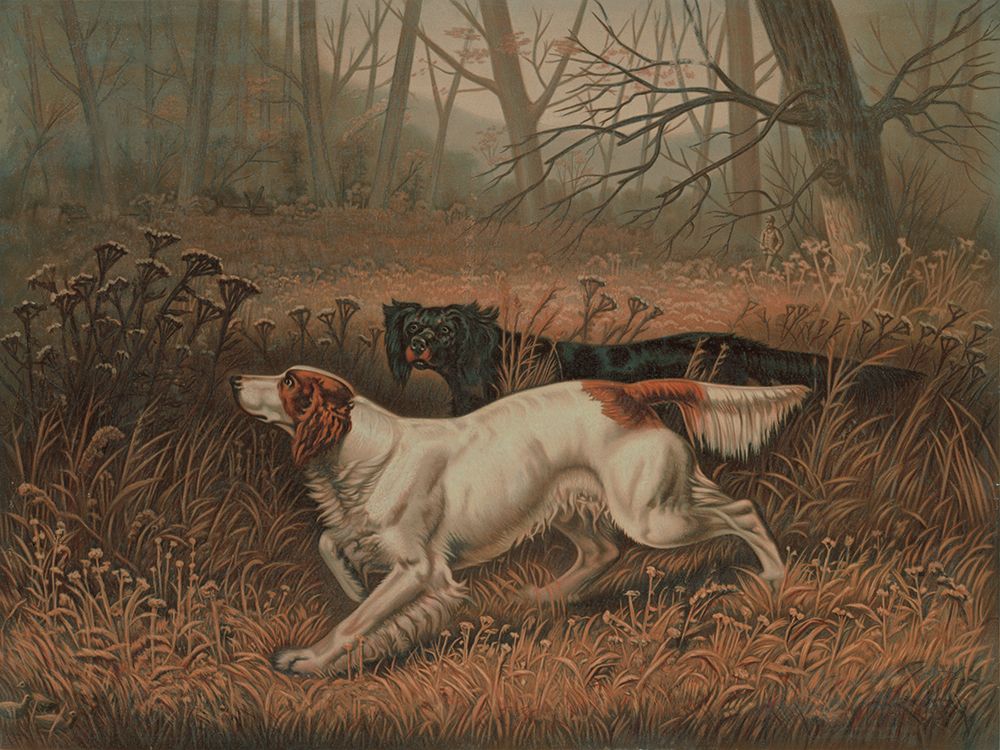 Quail Shooting art print by Public Domain for $57.95 CAD