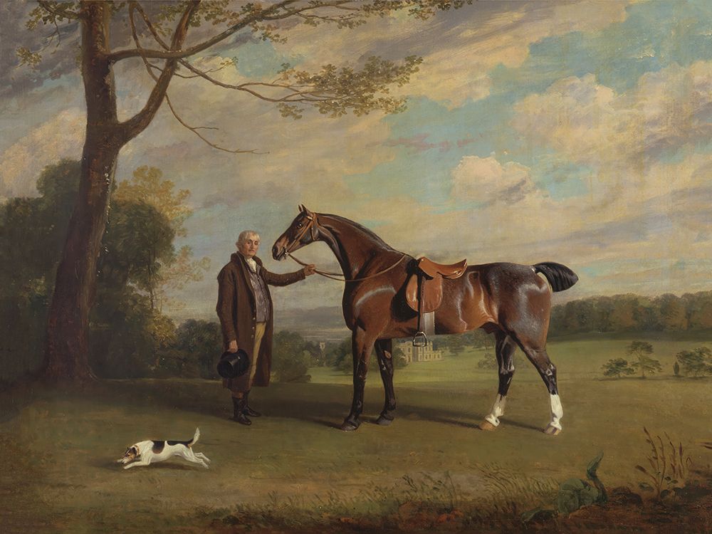 The Earl of Shrewsburys Groom Holding a Hunter art print by Public Domain for $57.95 CAD