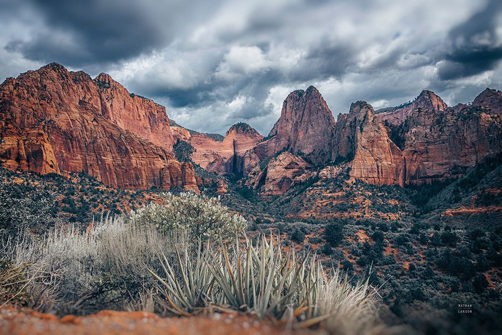 Zion National Park Storms art print by Nathan Larson for $57.95 CAD