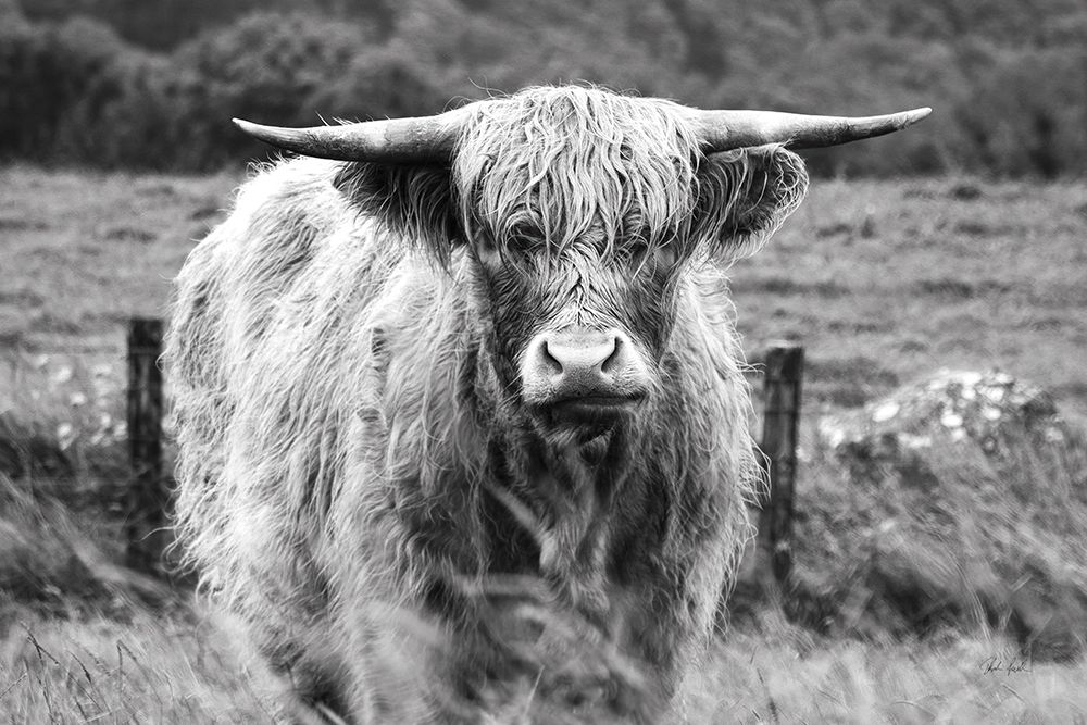 Happy Highland Portrait art print by Deborah Revell for $57.95 CAD