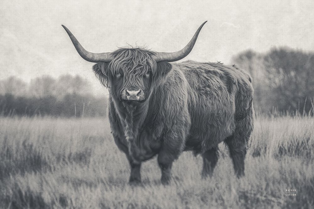 Center of Attention BW art print by Nathan Larson for $57.95 CAD
