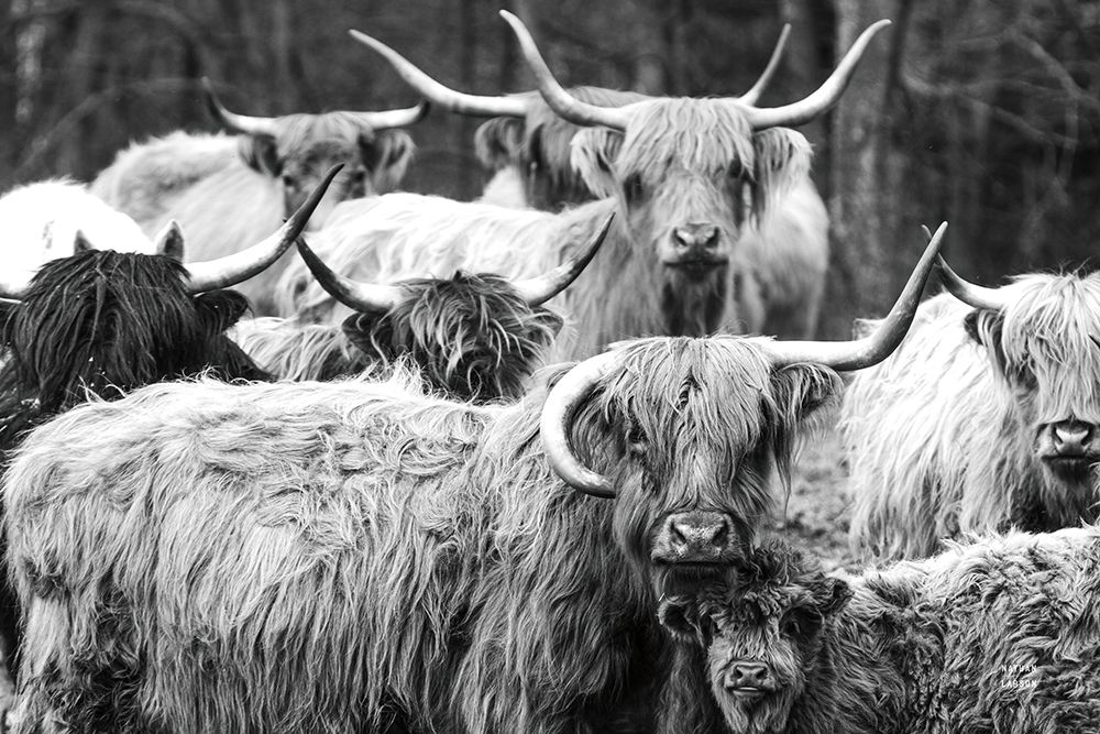 Family Portrait BW art print by Nathan Larson for $57.95 CAD