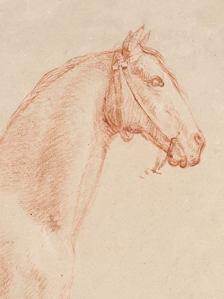 The Horse Aga art print by Public Domain for $57.95 CAD