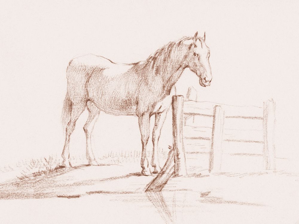 Standing Horse at a Fence art print by Public Domain for $57.95 CAD