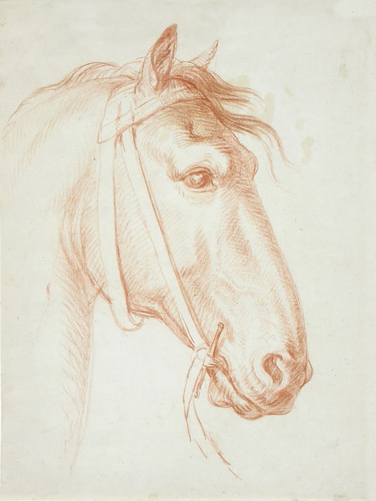 Horses Head art print by Public Domain for $57.95 CAD