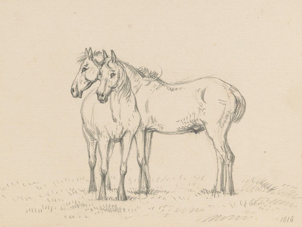 Two Horses Standing Together art print by Public Domain for $57.95 CAD