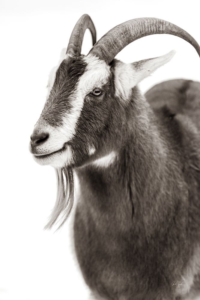 Billy Goats Gruff IV art print by Deborah Revell for $57.95 CAD