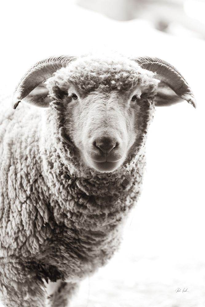 Barn Buddy II art print by Deborah Revell for $57.95 CAD