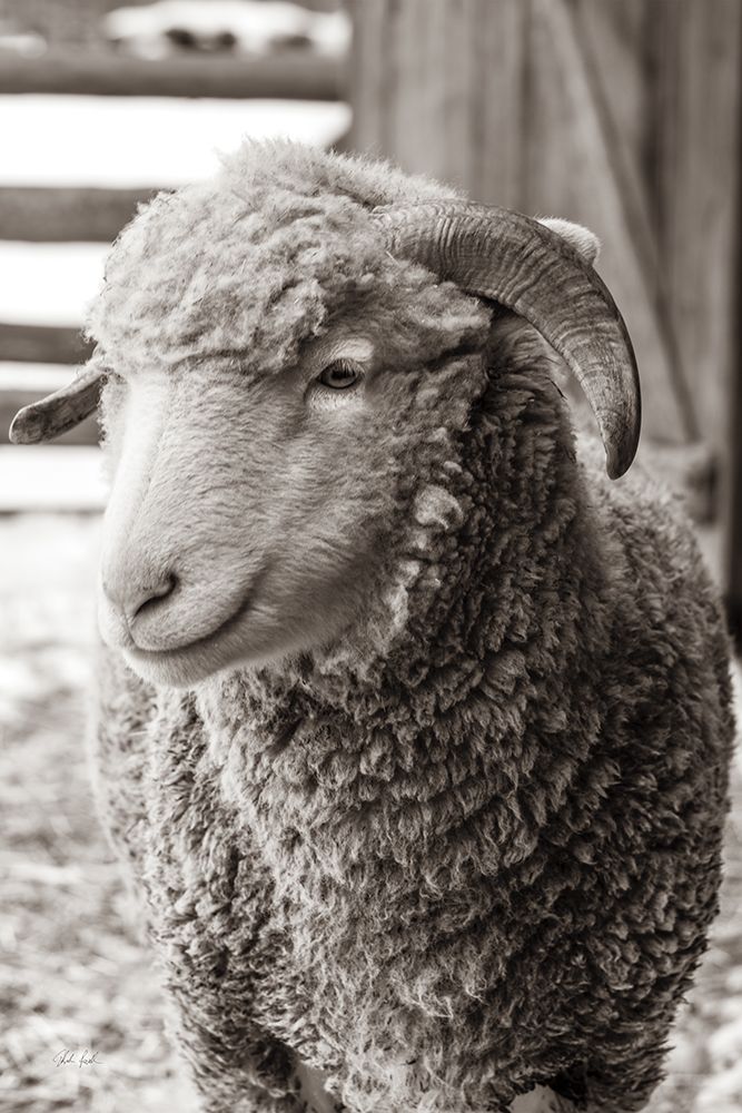 Barn Buddy III art print by Deborah Revell for $57.95 CAD
