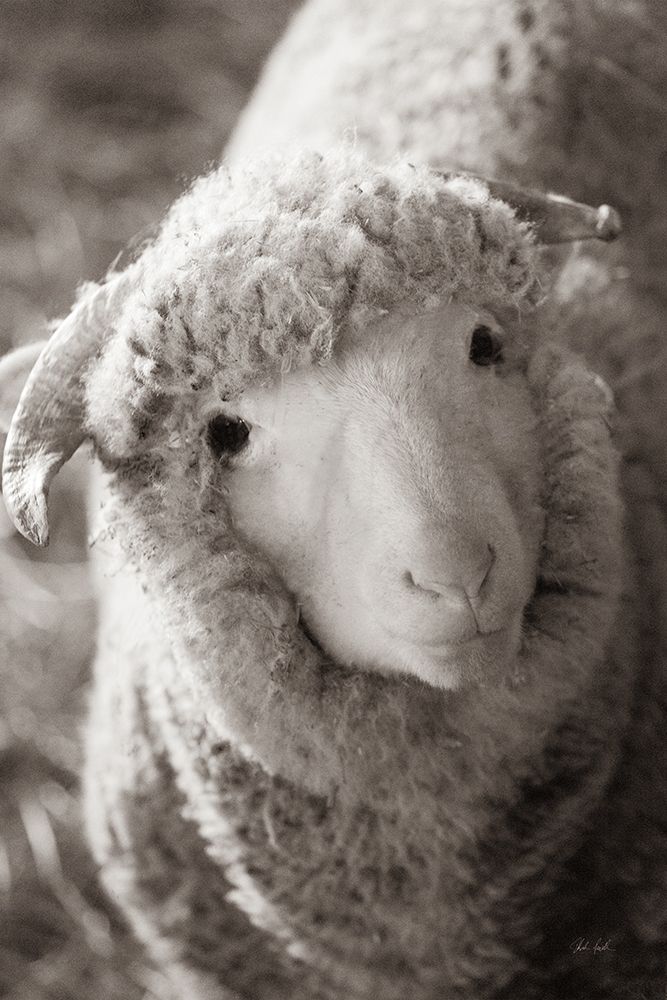 Barn Buddy IV art print by Deborah Revell for $57.95 CAD